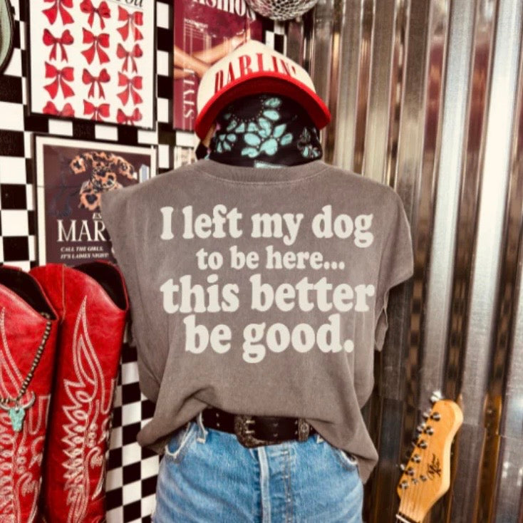 I Left My Dog To Be Here